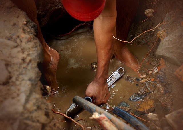 labor-2787771_640