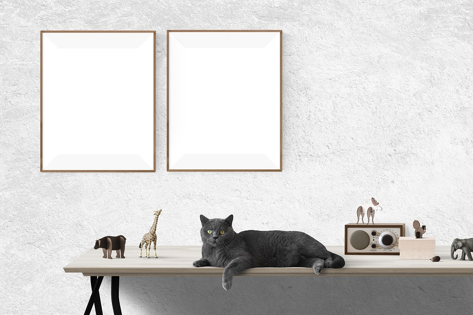 Mačka, fotorámy